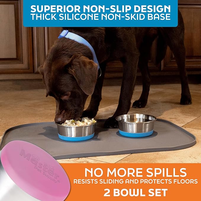 Master Pet Supply Stainless Steel Dog Bowls Set of 2 with Extra Thick Silicone Base - 2 Cup (16 oz) Hyper Pink, Non-Slip, Dishwasher Safe Metal Bowls, Pet Dog Food Bowl for Dogs, Cats, Anti Rust