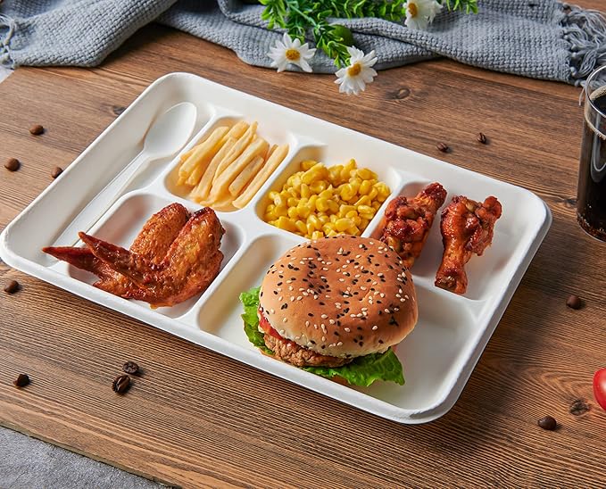 Vplus 100% Compostable 6 Compartment Plates, 90 Pack Compartment Paper Plate, 12.5x8.6 inch Disposable School Lunch Trays, Eco-Friendly Bagasse Plates for School Lunch, Buffet, and Party