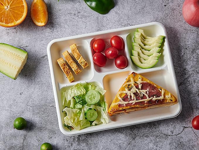 Vplus 500 Pack 5 Compartment Plates, 100% Compostable Paper Plate, 10.25x8.5 inch Disposable School Lunch Trays, Eco-Friendly Bagasse Plates for School Lunch, Buffet, and Party, Perfect for Kids
